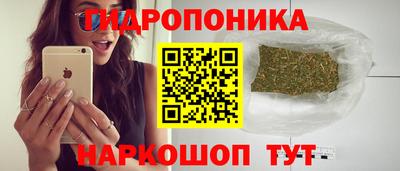 шишки Малоярославец