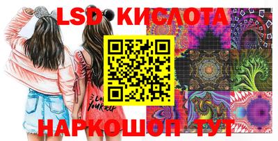 молекула духа Можга