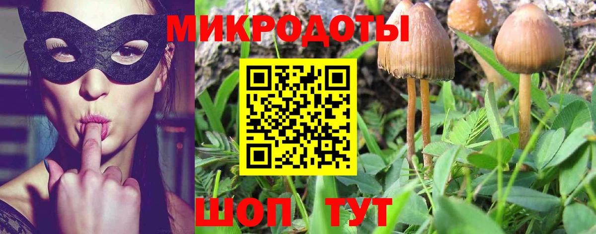 Псилоцибиновые грибы GOLDEN TEACHER Черногорск